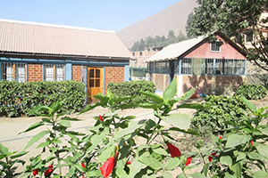 ayuda_para_la_vida_snsbf1